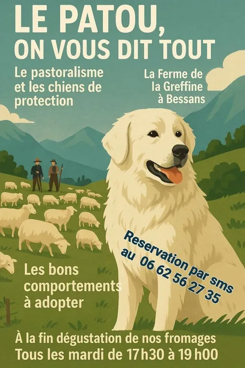 Le patou on vous dit tout !
