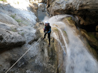 Arvan Evasion