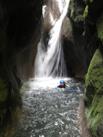 Arvan Evasion