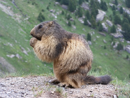 Chemin de la Ramasse à pied