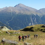 © sentier de l'Arpont - K.mandray