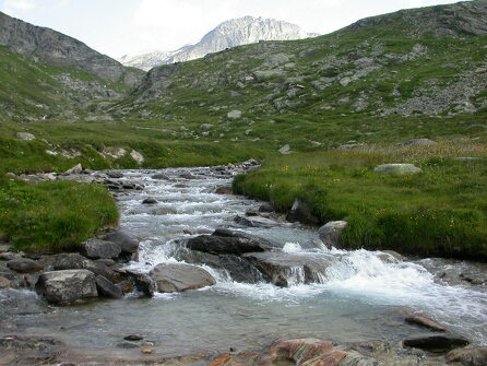 Visparcours &quot;1 poisson&quot; op Le Ruisseau du Fond in Aussois
