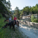© rando-cheval-haute-maurienne-equitation - Alban Pernet