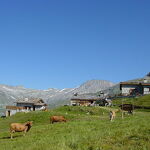 © Refuge de Plan Sec - Aussois - MO. Claire Bermond