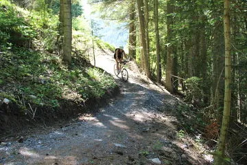 Enduro Mountain Bikes: Easy Rider