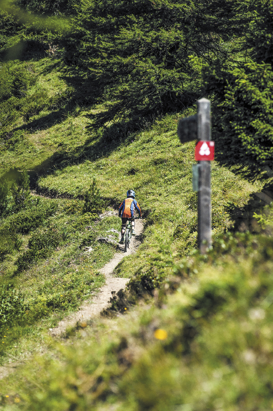 © 27- Enduro - Rouge - L'Art de la Selle - cchmv