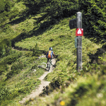 © 27- Enduro - Rouge - L'Art de la Selle - cchmv