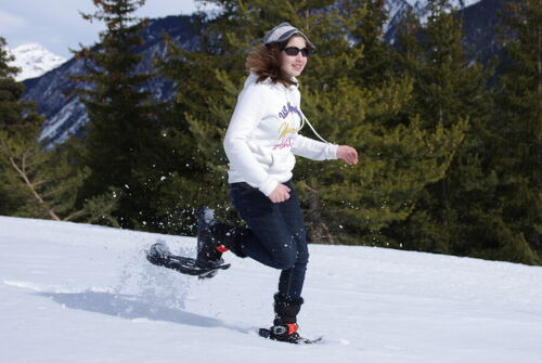 Itinéraire piéton raquettes  : Le Monolithe par Sardières