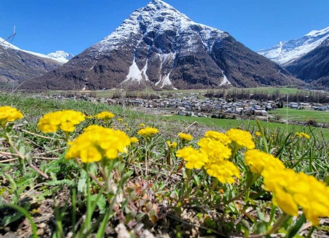 Get close to the 3,000 m mark and take in the sights! Pointe de Tierce at Bessans, 2973 m