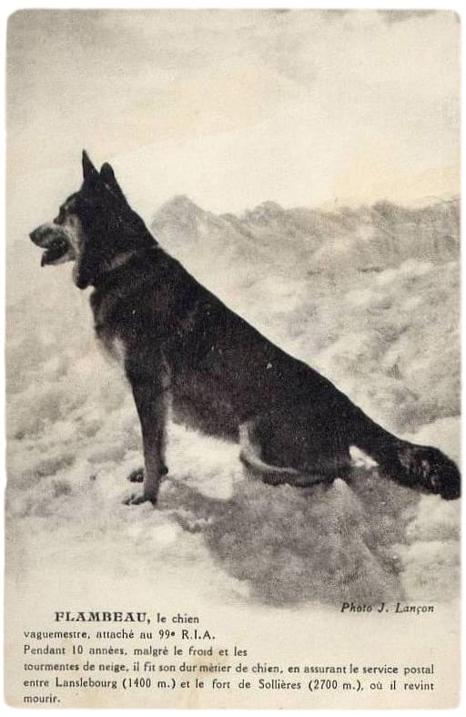 512x787-VC-Flambeau-carte-postale
