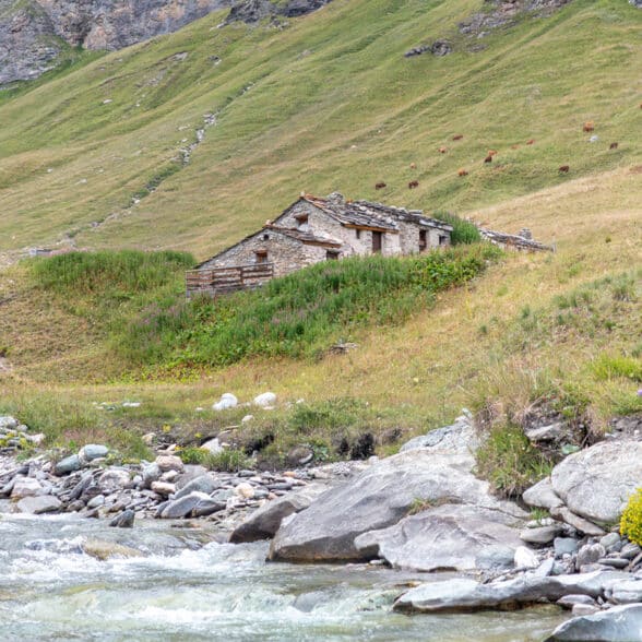 Nous passons devant les premiers chalets ainsi que le parc des vaches pour nous rendre tranquillement vers le dernier chalet du vallon (la ferme)