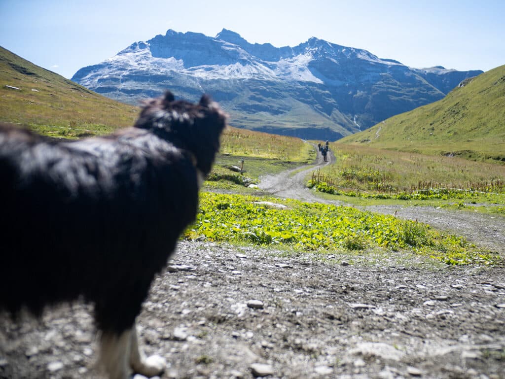 l est temps de songer à redescendre vers la vallée, en nous faisant une promesse : revenir l’année prochaine !