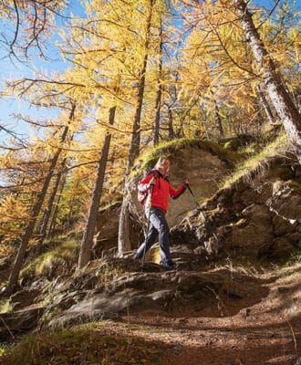 475x575-Visuel_HP_vignette_HMV_Automne