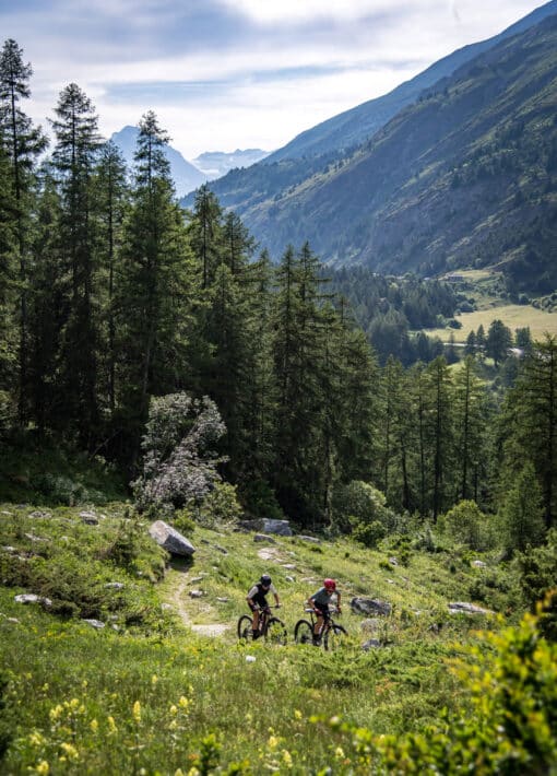 853X1280-APernet-HMV-HD-250624-025