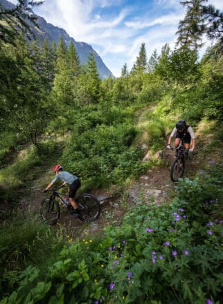 853X1280-APernet-HMV-HD-250624-035