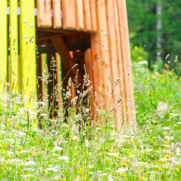 Cabin along the "Path of Little Happiness"