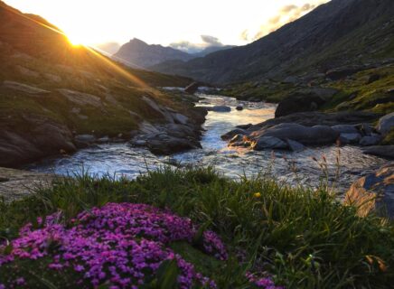Bramans-Vallon-d-Ambin02©B.ThomasOTHMV