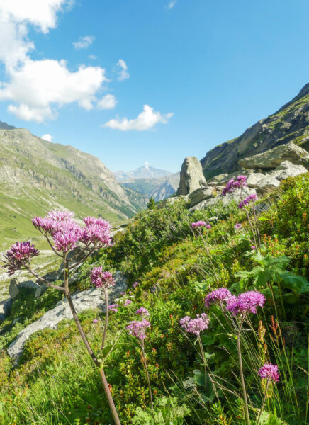 Vallond-d-Etache_Bramans-ValCenis-03©Romane-SalesOTHMV