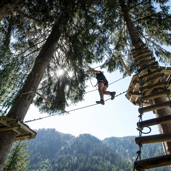 Tree climbing at Valfréjus