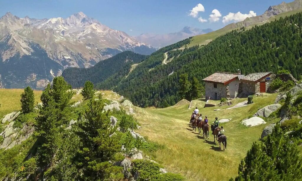 Horseback riding in the heart of the Alps