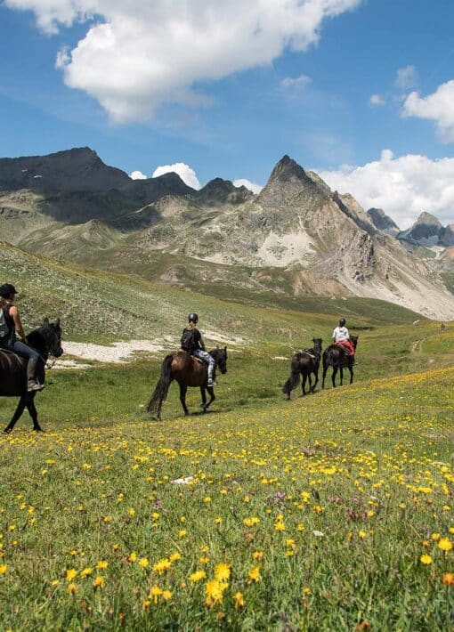 3 hikes in Valfréjus, a 3-day horseback trek in the heart of the Alps, between the Valfréjus resort and Italy.