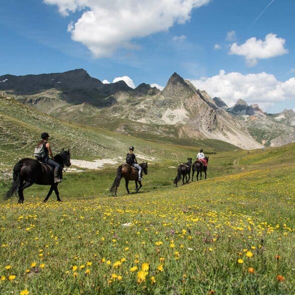 3 randonnées en itinérance à Valfréjus, une randonnée à cheval pour 3 jours en itinérance au cœur des Alpes, entre la station de Valfréjus et l’Italie.
