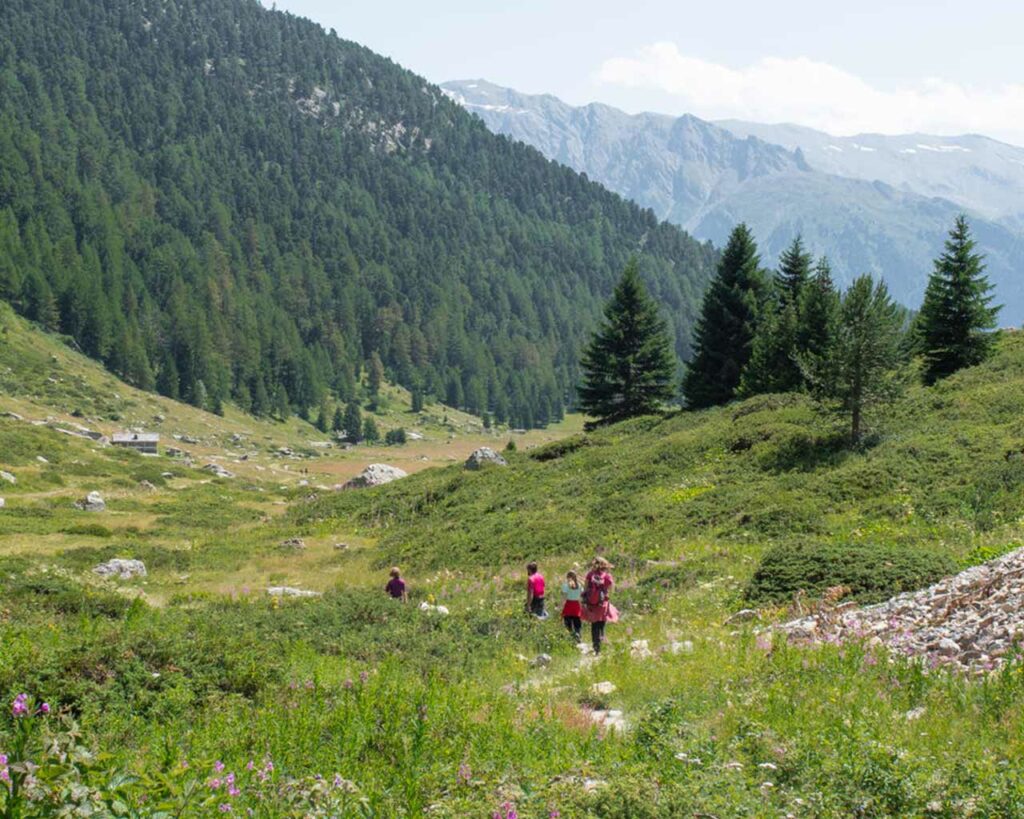 Discover La Norma with your family, hiking at l&#039;Orgère