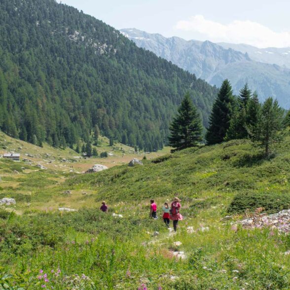 Discover La Norma with your family, hiking at l'Orgère