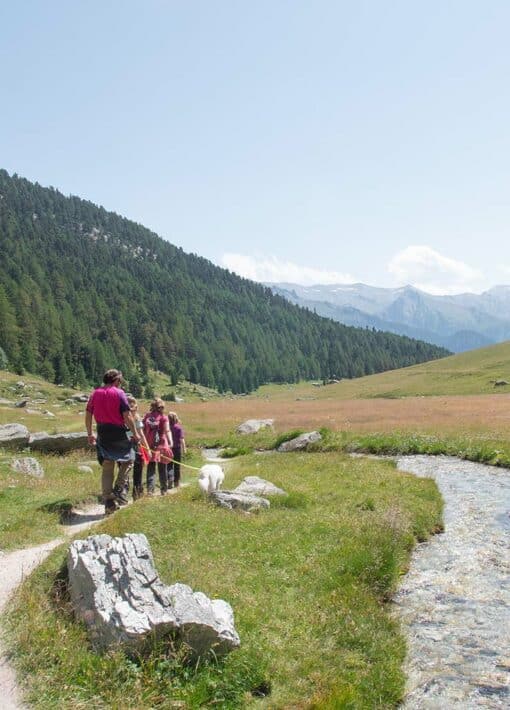 AUS_Top5_Ballade-Orgere-PNV