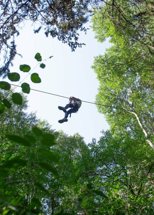 Top 5 zomeractiviteiten in La Norma, het Duivelsbomenpark