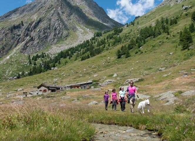 De vallon de l'Orgère in het Vanoise National Park, de coolste plek ter wereld. La Norma