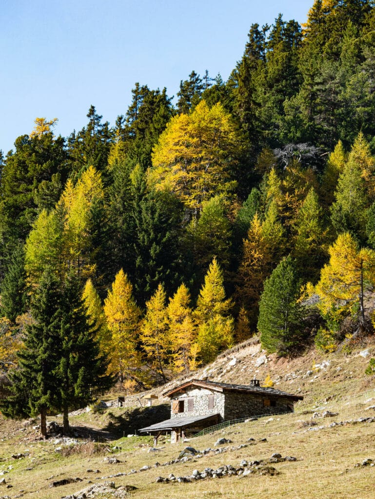 Automne à L'Orgère, Parc national de la Vanoise, La Norma