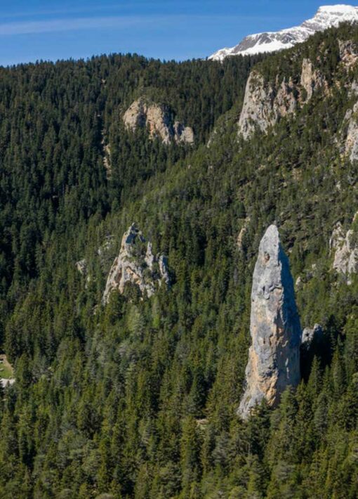 Le Monolithe d'Aussois, un menhir géant au cœur de la forêt