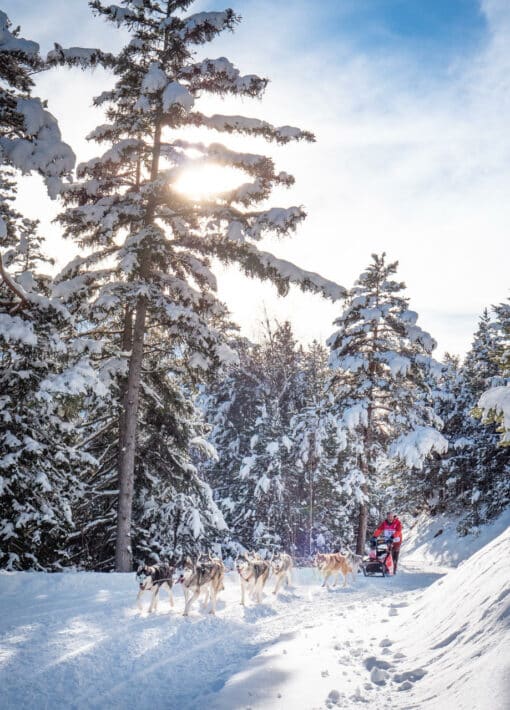 L'événement de la semaine, La Grande Odyssée VVF à Aussois