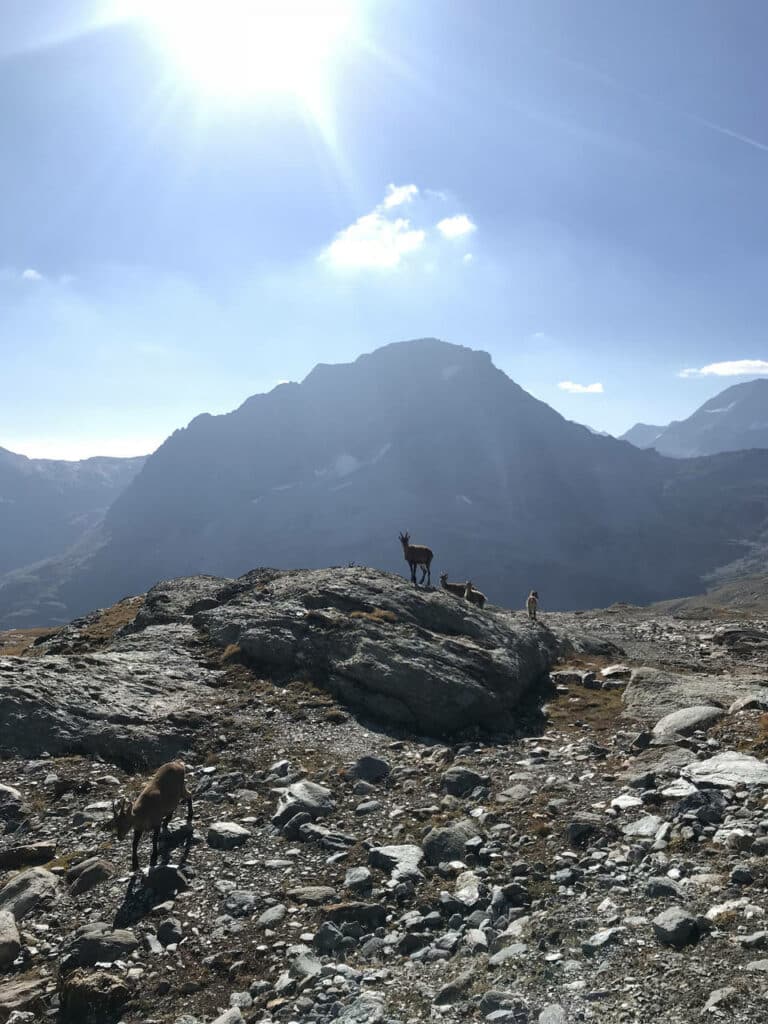 10 activités à faire au printemps à Aussois, la randonnée