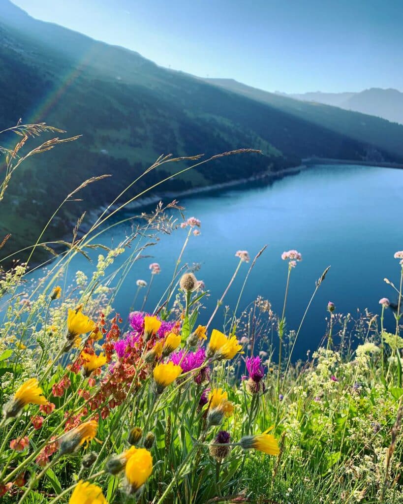 10 activités à faire au printemps à Aussois, la contemplation