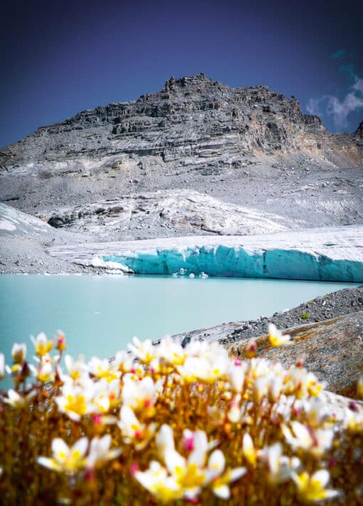 Lac et glacier du Grand Méan, Bonneval sur Arc, conférence Marine Souchier Les lacs de montagne, festival Camp de Base Aussois 2025