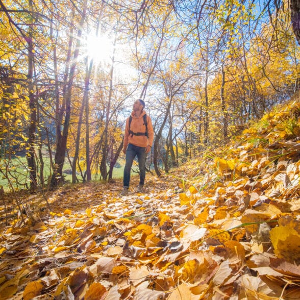 Randonnée, automne, Aussois, Haute Maurienne Vanoise, balade, feuilles dorées