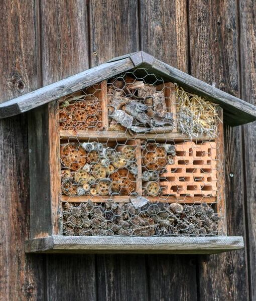 Insect Hotel Workshop - Base Camp Festival