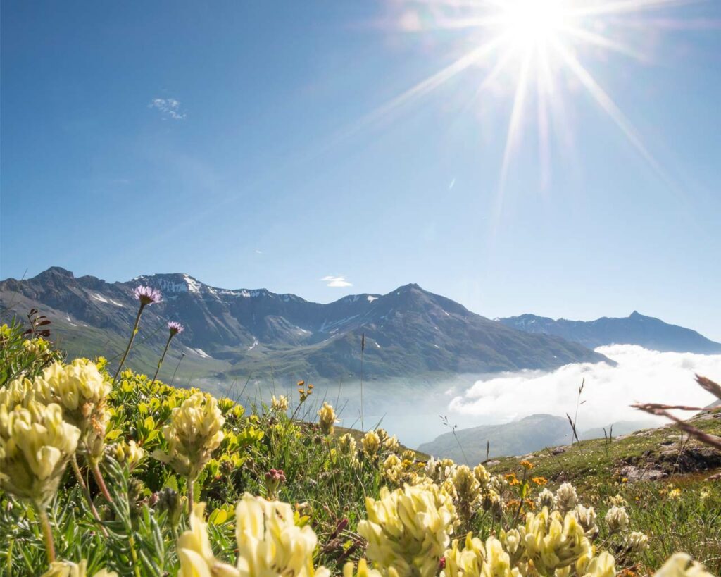 Zomer bij Val Cenis