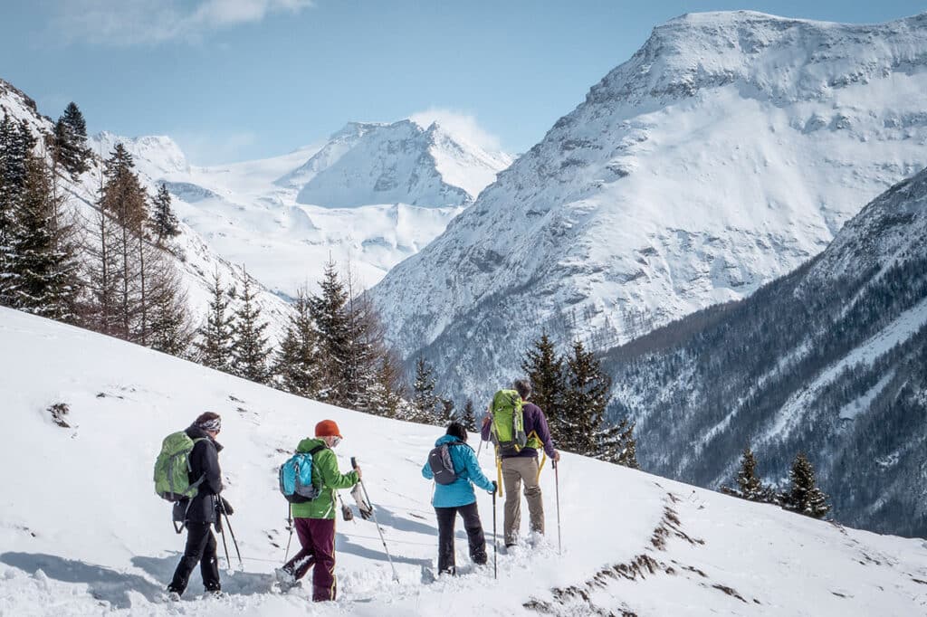 Nature et ski, sortie accompagnée en raquettes
