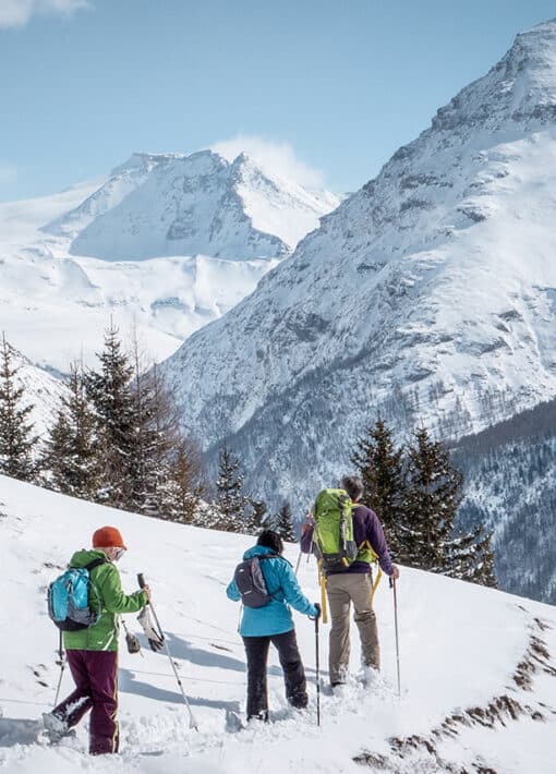 Nature and ski, accompanied snowshoe outing