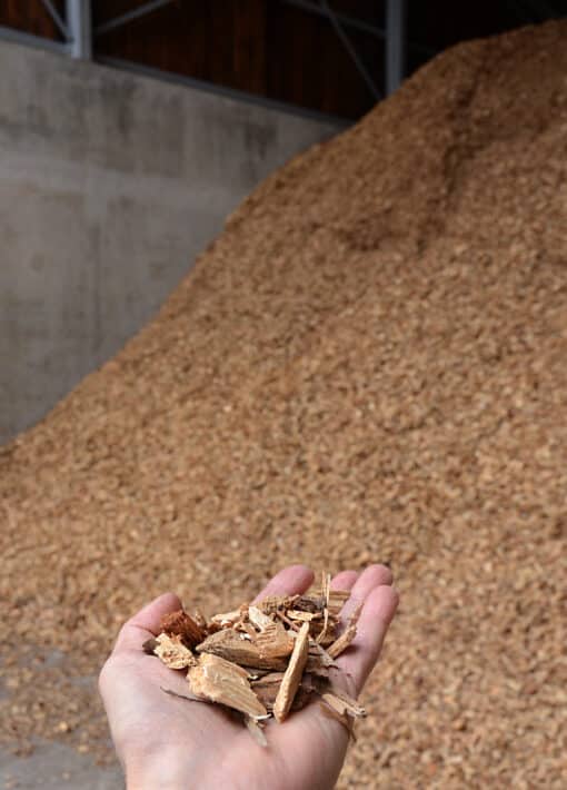 Wood-fired boiler