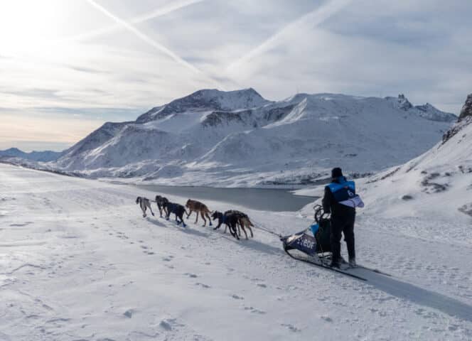 Traineau à chiens, La Grande Odyssée, station de Val Cenis, Mont Cenis