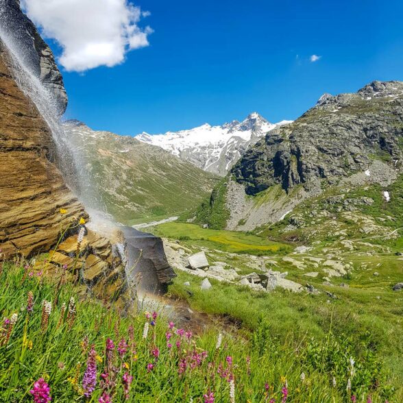 Il Parco Nazionale della Vanoise, parte essenziale dell&#039;ambiente vanoviano Bonneval sur Arc