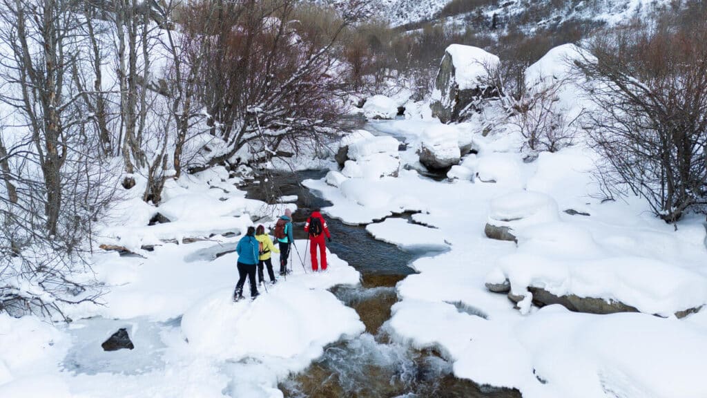 raquettes_-_bonneval_-_01.24_cd.cuvelier_-_othmv__11.jpg_low