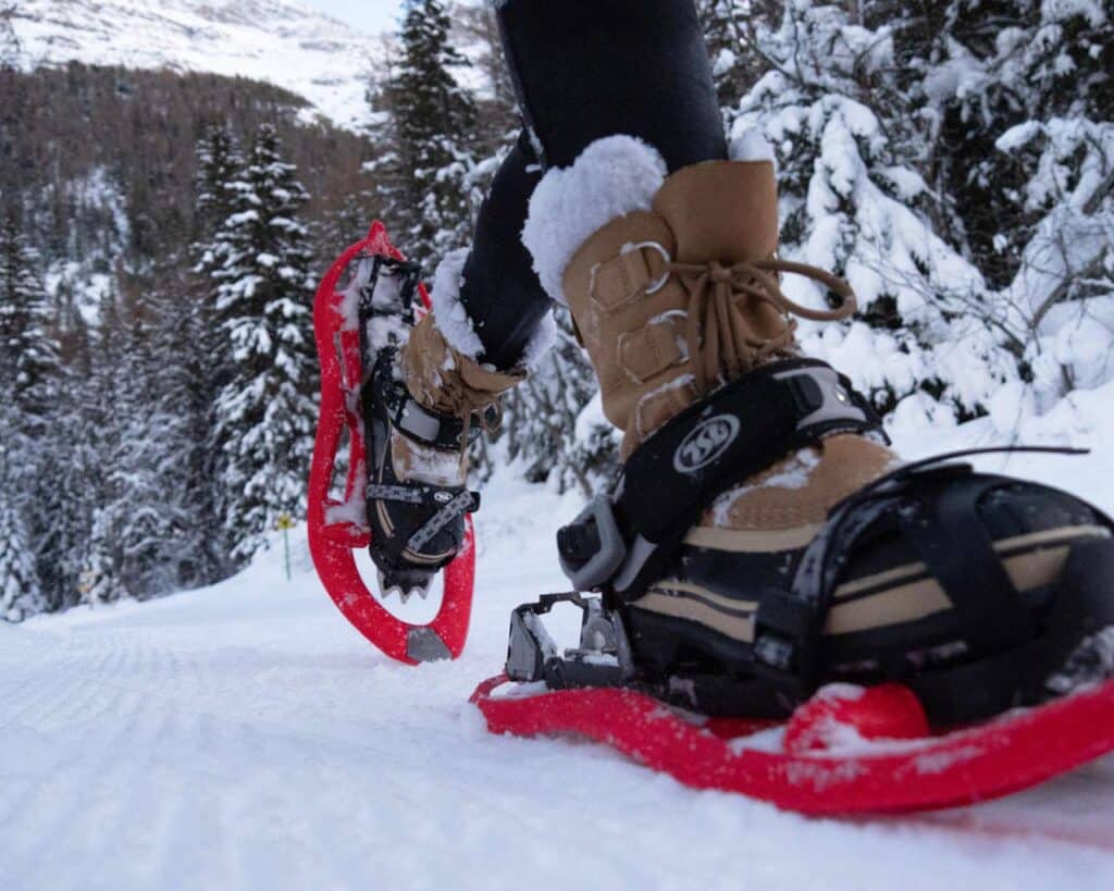 BE_activites-loisirs-hiver-raquettes