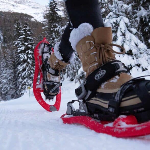 BE_activities-recreation-winter-snowshoeing